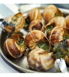 12 Escargots de Bourgogne Extra Gros