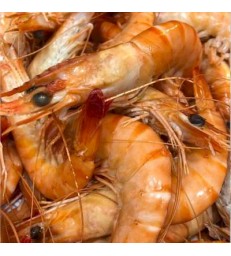 6 x Crevettes roses