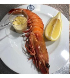 Crevettes Mega