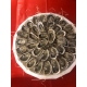 Le Mermoz (2-3 pers.)