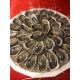 Le Mermoz (2-3 pers.)