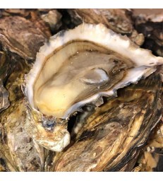 Creuses de Bretagne Cancale les 6