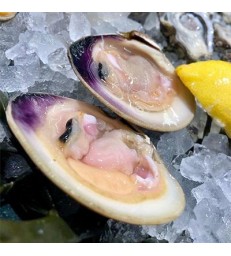 Clams de Normandie