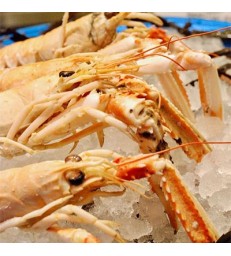 4 x Langoustines grosses