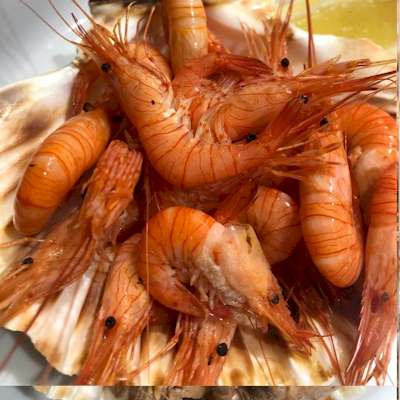 Prawns Bouquet