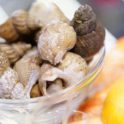 Common Whelks & aïoli