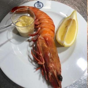 100 Grs Crevettes Mega