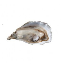 Creuses de Bretagne Cancale les 6