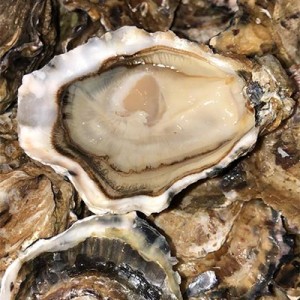 Spéciales Ancelin Papillons les 6