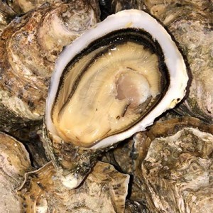 Spéciales Gillardeau les 6 n°3