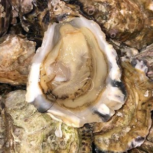 Spéciales Normande Isigny Géfosse les 6 n°3