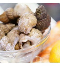 350 grs Bulots cuits chez nous